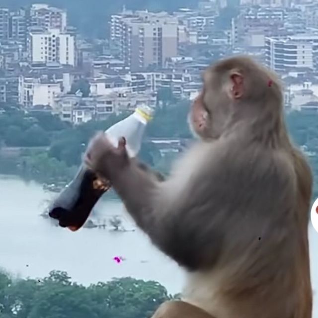 小小盒子