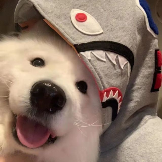 S神