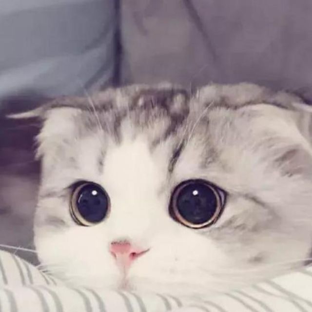 树