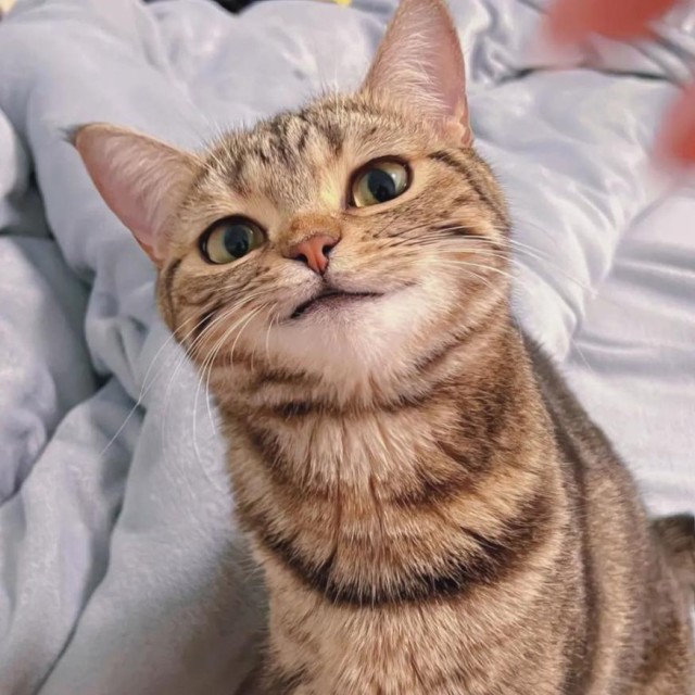 小胖